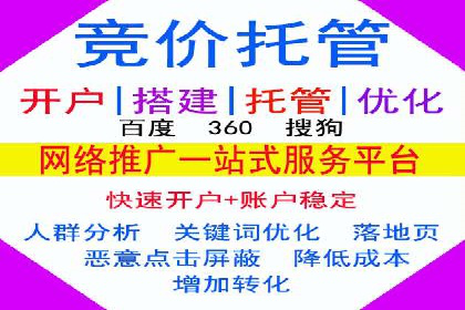 行业领先SEM服务公司案例研究